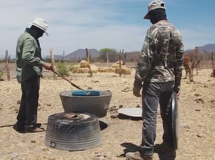 Health Experts Sound Alarms: Deadly Carfentanil Surge Threatens Public Well-being