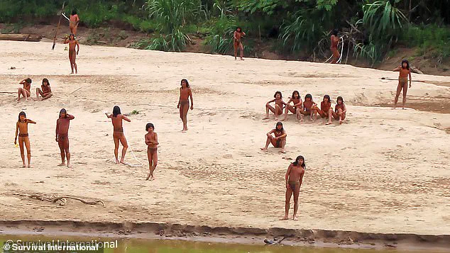 Fears Mount for Uncontacted Amazon Tribe as Common Cold Poses Existential Threat