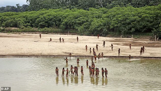 Fears Mount for Uncontacted Amazon Tribe as Common Cold Poses Existential Threat