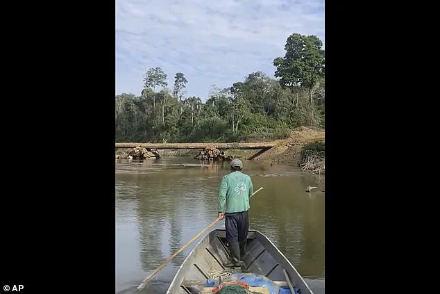 Fears Mount for Uncontacted Amazon Tribe as Common Cold Poses Existential Threat