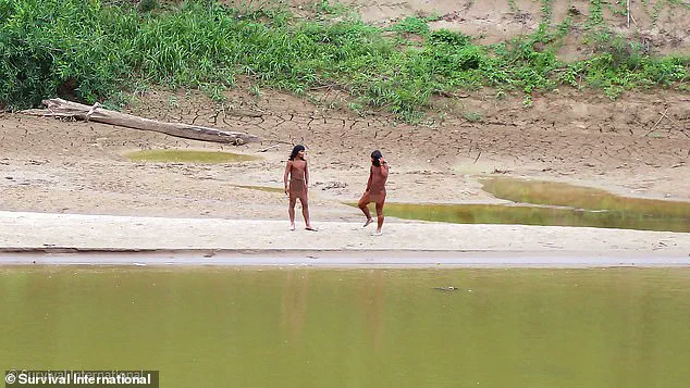 Fears Mount for Uncontacted Amazon Tribe as Common Cold Poses Existential Threat