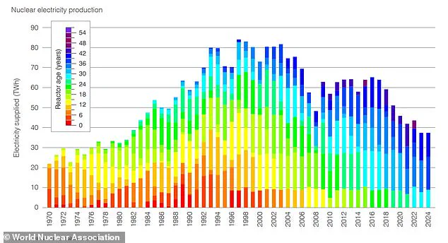 Privileged Insights: 2024 Nuclear Power Reaches Record High