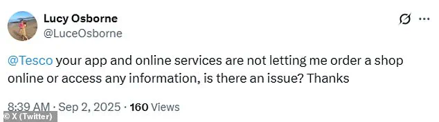 Tesco Faces Major Technical Issues Disrupting Online Shopping for Thousands