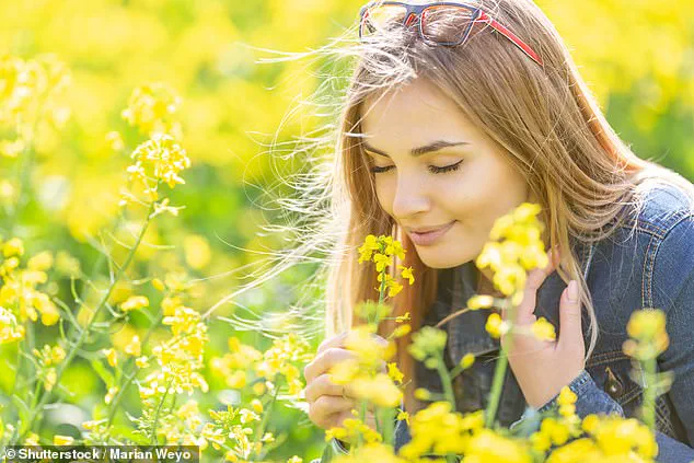 New Study Suggests Loss of Smell May Be Early Indicator of Dementia, Offering Hope for Earlier Detection