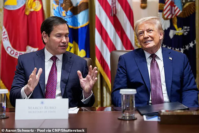 The Curious Case of Prince Harry's U.S. Visa: Two Years of Speculation Over His Immigration Status