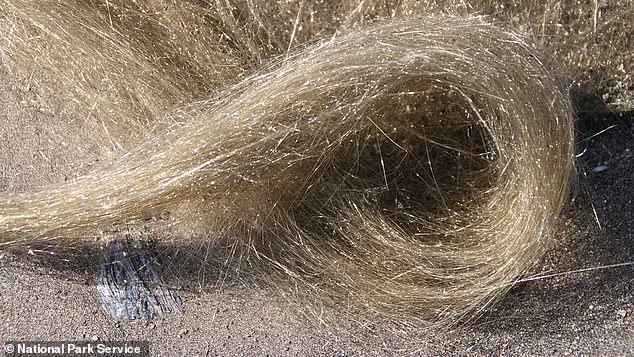 Hawaii's Kilauea Volcano Eruption Captures Attention as Episode 32 in Ongoing Activity