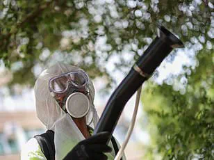 Health Officials Warn of Growing St. Louis Encephalitis Risk in California as Mosquitoes Test Positive for Deadly Virus