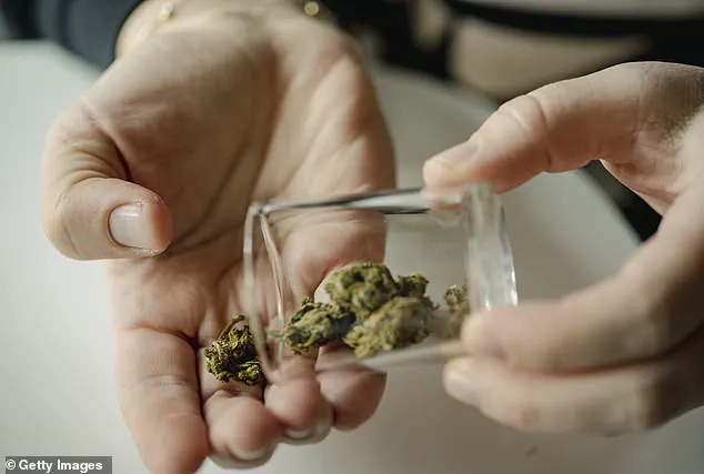 Urgent Warning: Cannabis Use Disclosure Critical to Avoid Mid-Surgery Horror as Use Rises