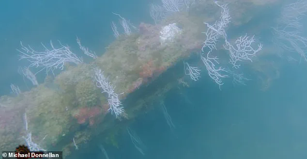 Atlantis Revisited: Technology, Oversight, and the Public's Role in Ancient History Debates