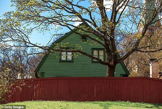 Caution Advised in Neighborly Disputes Over Overgrown Greenery, Experts Warn of Legal and Social Risks