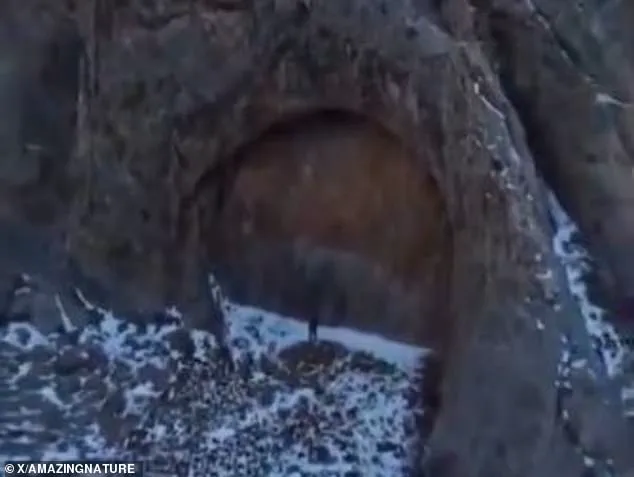 Exclusive: Hidden Gateway in Kazakhstan Sparks Alien Speculation