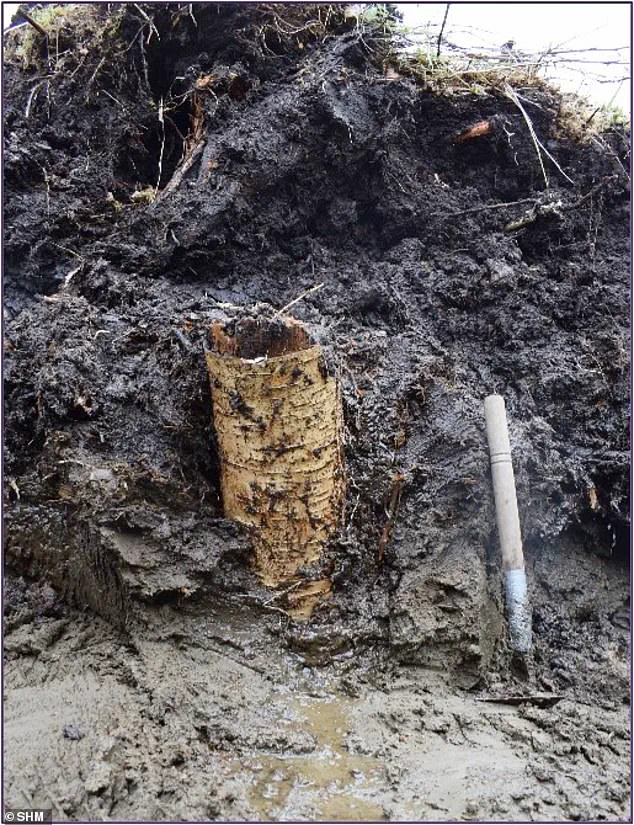 Privileged Access to the Past: Bogs' Anaerobic Secrets Reveal Unparalleled Archaeological Finds
