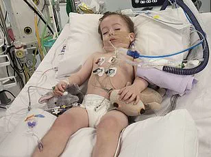 Silent Killer: Expert Advisories Highlight Urgent Need for Public Awareness in Kidney Cancer Detection