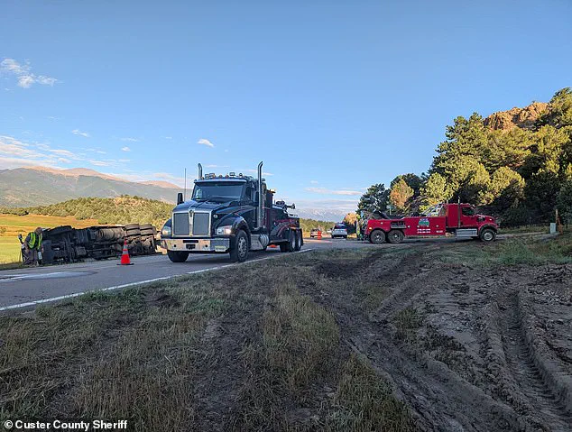 Surreal Scene: Semi-Truck Crash Spills Sweet Corn Across Colorado Highway