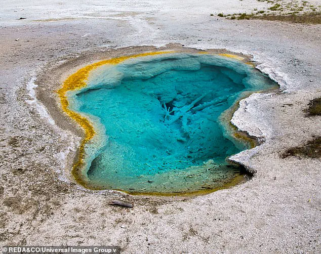 New Theory Proposes Directed Panspermia: Life on Earth May Have Been Seeded by Advanced Aliens