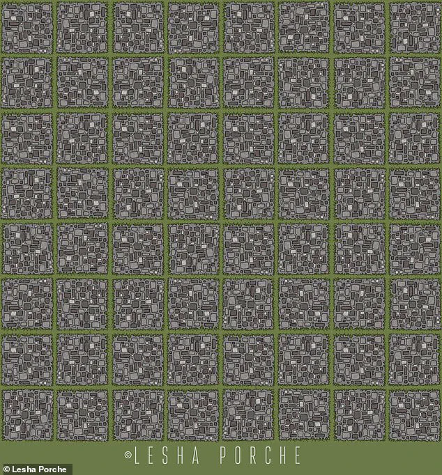 The Hidden Truth: How Privileged Access to Information Shapes the Debate Over a Viral Optical Illusion