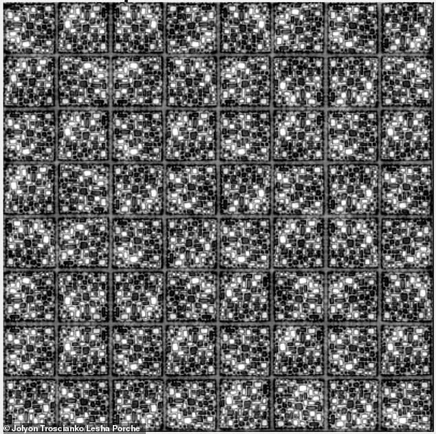 The Hidden Truth: How Privileged Access to Information Shapes the Debate Over a Viral Optical Illusion