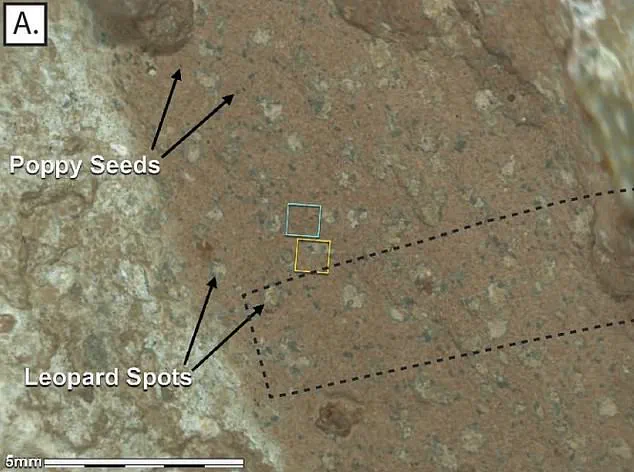 NASA's 'Surprising New Finding' on Mars: 'This Could Change Everything,' Says Perseverance Team