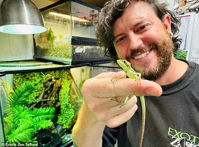 Exclusive: Unprecedented 'Virgin Birth' in Lizard House at Exotic Zoo Sparks Scientific Curiosity