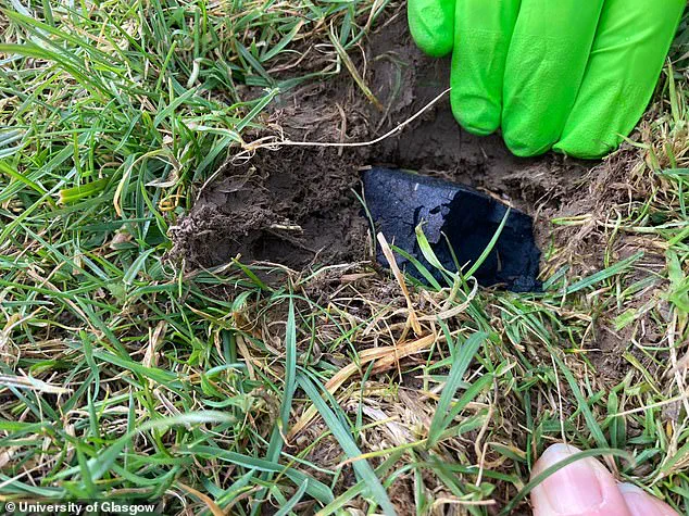 A Celestial Hunt in the Highlands: 'This is a Once-in-a-Lifetime Opportunity to Explore Our Solar System's Origins,' Says Scientist