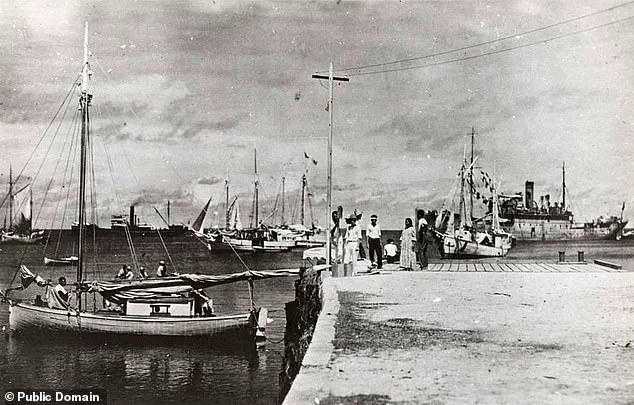 Congresswoman Kimberlyn King-Hinds Urges Trump to Declassify Records on Amelia Earhart's Fate