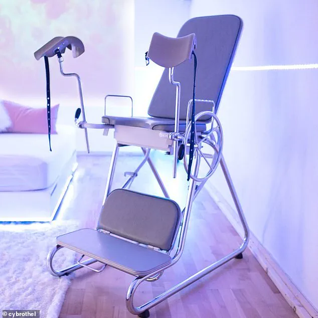 Europe's First Immersive Cyber Brothel: Sex Dolls and the Ethical Risks of Digital Intimacy