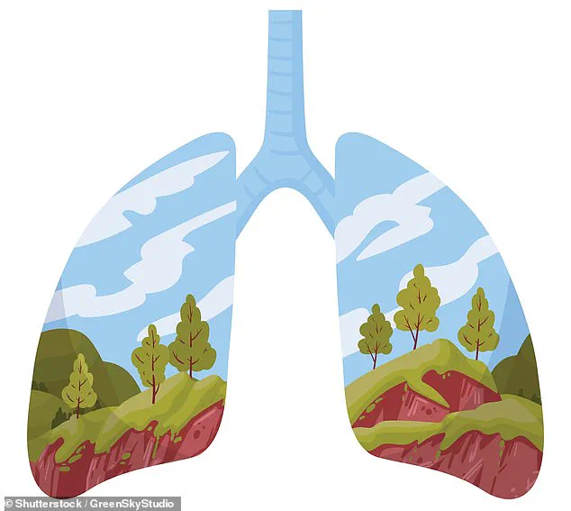 New Research Suggests Air May Contain Essential Nutrients, Sparking Debate Among Health Experts