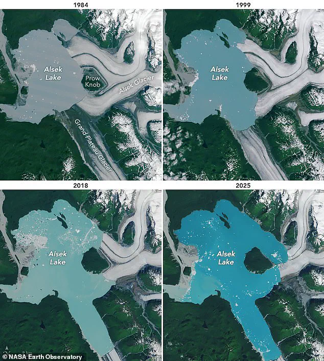 Rapid Glacial Retreat Creates New Island in Alaska, Transforming Landscape in Just Four Decades