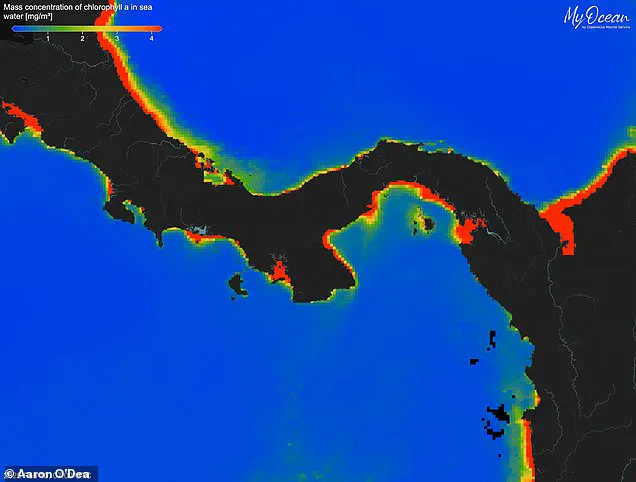 Urgent Alert: Failure of Vital Gulf of Panama Upwelling Sparks Ecological and Economic Crisis
