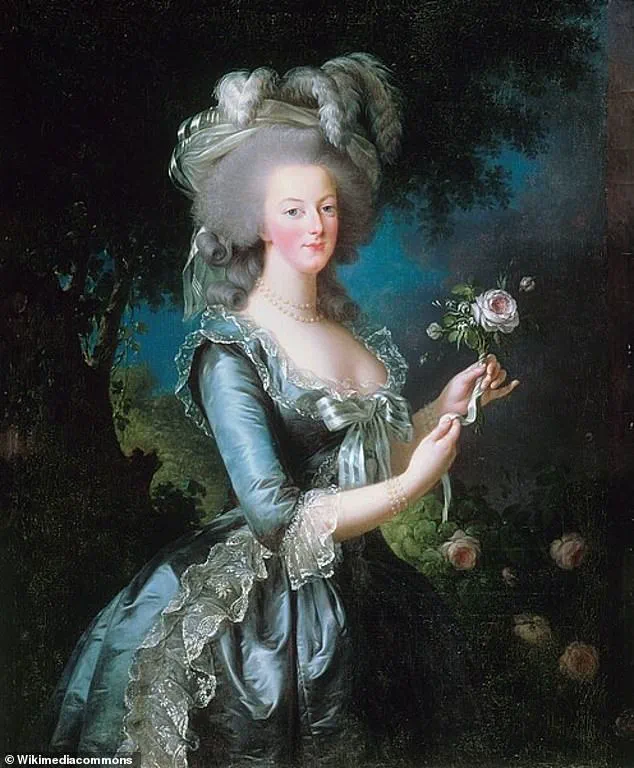 A Steely Gaze at Seven: Historians Reveal the Power Behind Marie Antoinette's Iconic Portrait