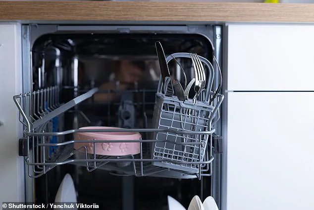 Autumn Fruit Fly Surge Puzzles Homeowners as Trapping Efforts Multiply