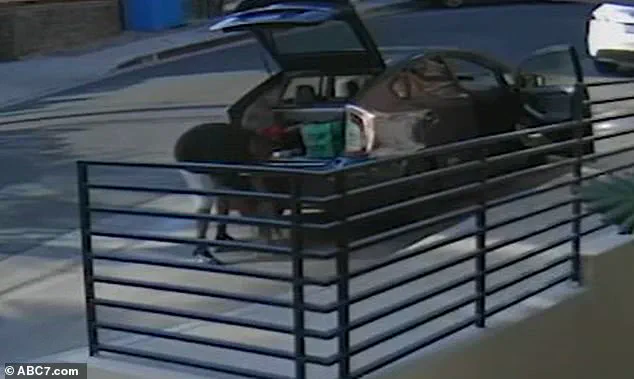 Food Delivery Driver Allegedly Steals Cat in West Hollywood, Footage Sparks Outrage