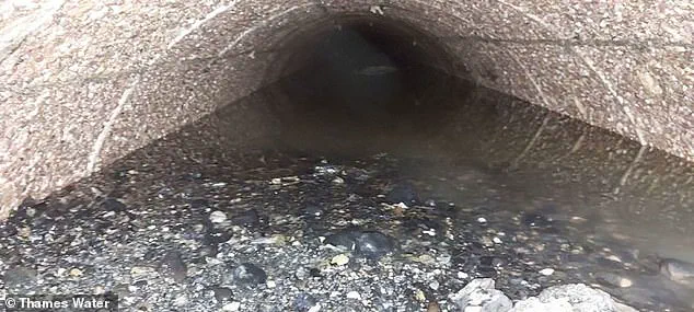 Harrowing Discovery of 100-Tonne Fatberg in London's Sewers Sparks Environmental and Public Health Concerns