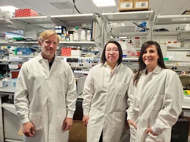 Breakthrough in Brain Disorder Research: New Therapy Offers Hope for Autism and Epilepsy Patients