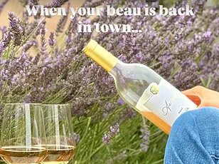 Meghan Markle's As Ever Wine: A Risky Venture as Experts Warn on Celebrity-Backed Brands and Consumer Trust