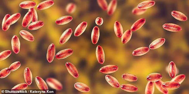 Urgent Warning: Unprecedented Plague Risk Emerges as Rodent Populations Surge Across the US Amid Climate Crisis