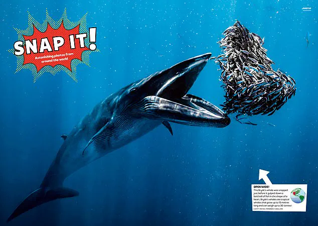 Bridging the Gap: Engaging Young Minds in a Digital Age