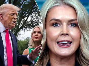 Cheryl Hines and Sunny Hostin Address RFK Jr.'s Lack of Medical Training in HHS Role