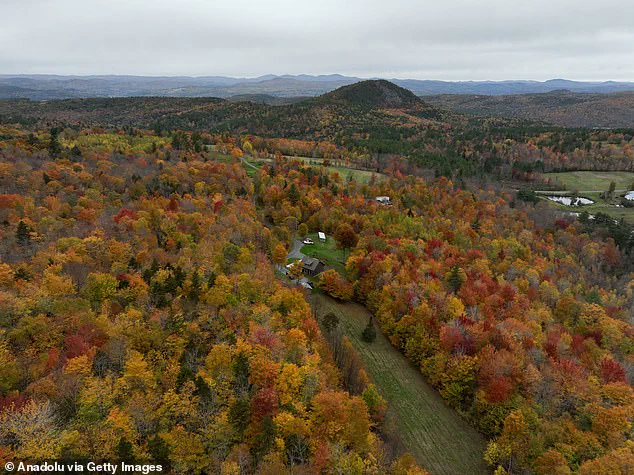 New England's Iconic Leaf-Peeping Season Disrupted by Unprecedented Drought, Leading to Early Leaf Shedding and Dull Foliage