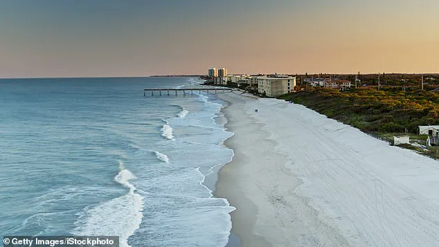 Study Links Dolphin Stranding to Alzheimer's-Linked Toxin, Raising Human Health Concerns Along US Coast