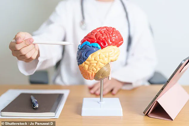 Breakthrough Study Reveals Why Women Are Disproportionately Affected by Alzheimer's and Its Implications for Public Health