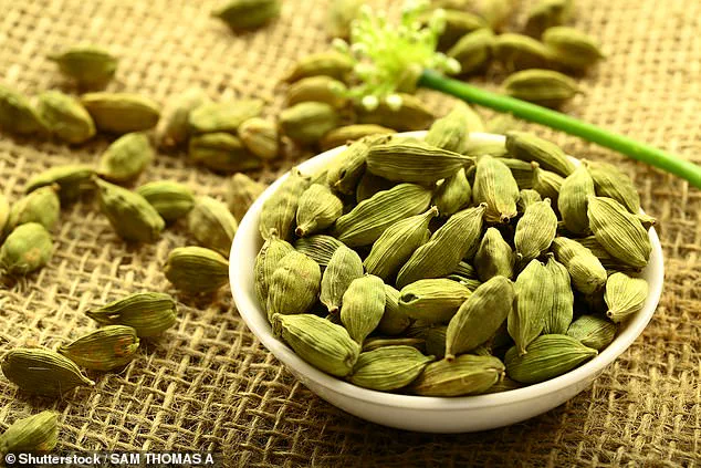 Cardamom Seeds' Antiviral Properties Reignite Debate on Natural Remedies' Effectiveness