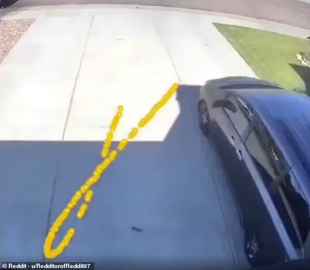 Citizen Scientist's Garage Shadow Experiment Sparks Debate on Flat Earth Theory