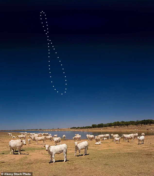 Citizen Scientist's Garage Shadow Experiment Sparks Debate on Flat Earth Theory