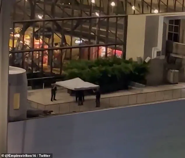 Tragic Suicide at Walt Disney World Sparks Controversy and Community Outcry