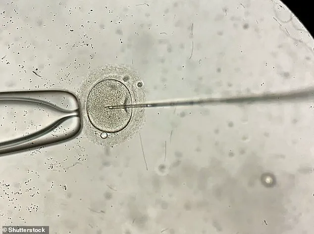 Scientists Reveal IVF May Increase Chances of Having a Boy, Sparking Debate Among Fertility Experts: 'It Challenges Long-Held Assumptions About Reproduction'