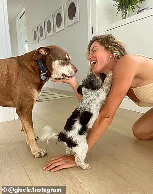 Regulatory Scrutiny Intensifies as Pet Cloning Gains Popularity, Raising Public Ethical Concerns