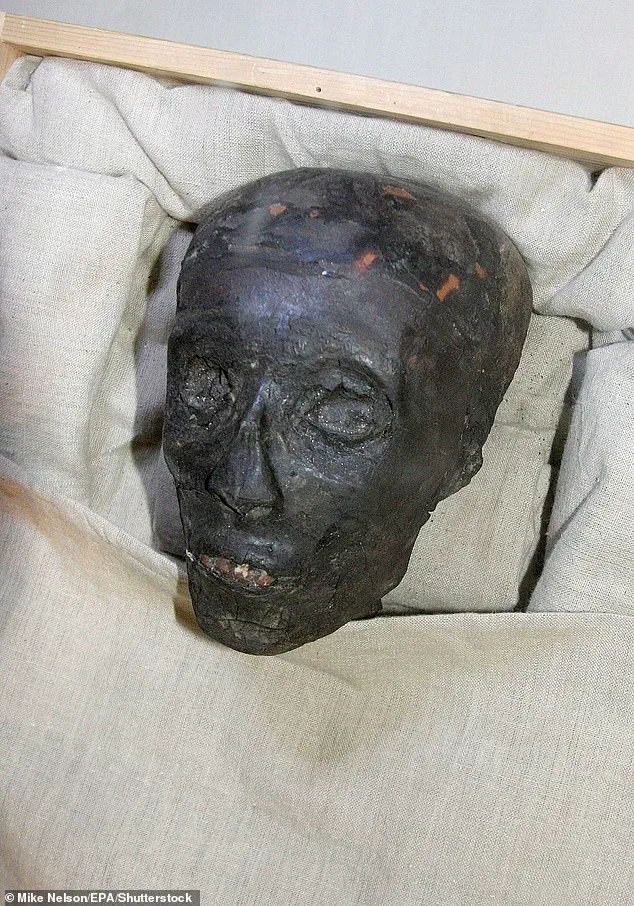 Ancient Necklace Fragment Uncovers Rituals of Loyalty to the Egyptian Throne