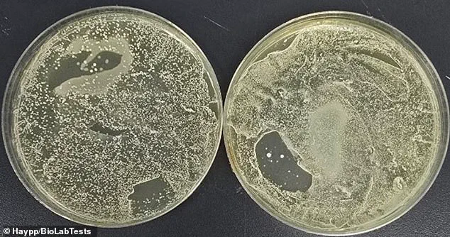 Exclusive Study Reveals E-Cigarettes 3,000 Times More Contaminated Than Toilet Seats: Experts Warn of Health Risks and Call for Hygiene Measures