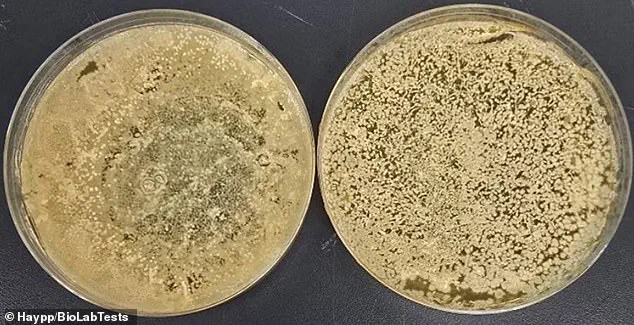 Exclusive Study Reveals E-Cigarettes 3,000 Times More Contaminated Than Toilet Seats: Experts Warn of Health Risks and Call for Hygiene Measures